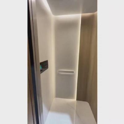 China 220V AC schroefdrijving Home Lift NSK Technologie Met Automatische Schuifdeur Te koop