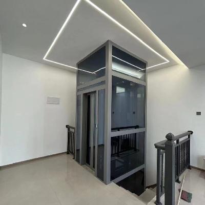 China Gearless Home Elevators Traction Up To 1000Kg Capacity ISO9001 Certified for sale