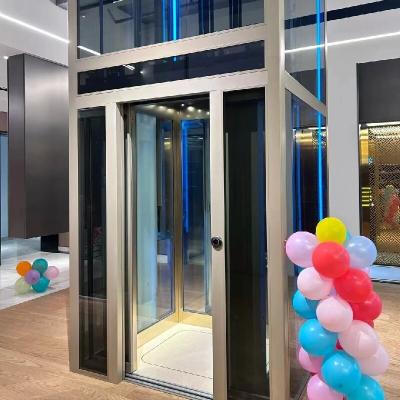 China Elevador de tracción para el hogar moderno con características de seguridad avanzadas y puertas correderas en venta