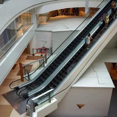 China Energy Efficient Escalator Lift 0.5 KWh Power Consumption 100 Passengers/Minute for sale