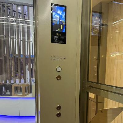 China Ultra Quiet Traction Home Elevator With 0.6 M/s Speed And Automatic Sliding Doors for sale