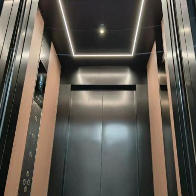 China Customize 2,9 M grandes cilindros Elevador hidráulico com 0 M profundidade de poço e 304 # cabine de aço inoxidável à venda