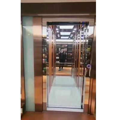 China Stainless Steel Cable Traction Small Residential Elevators Smooth Running 0.6 M/S for sale