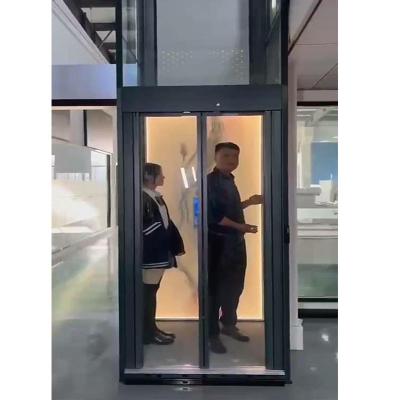 Китай Luxury Traction Home Elevator Microprocessor Based Gearless House Elevator Lift (Люксный дом с подъемным лифтом на базе микропроцессора) продается