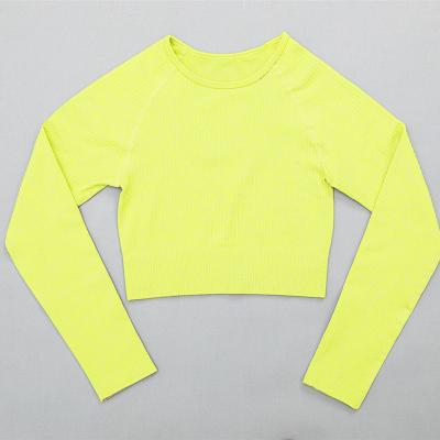 China Fashion Breathable Sports Slim To Stretch Quick Dry Yoga Tops Hot Sale New for sale