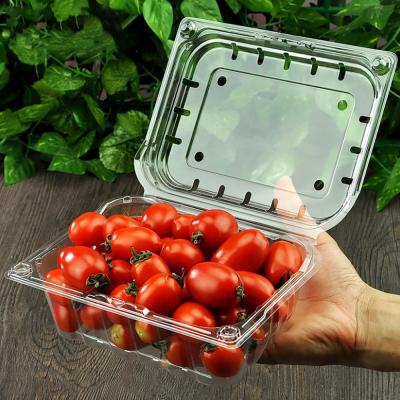 China Recycled Custom Tomato 500g RPET/PET Fruit Packaging Box Materials Disposable Plastic Clear Clamshell Blister Storage Container for sale