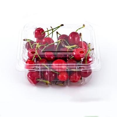 China Recycled Transparent Square Cherry Plastic Packaging Blister Clamshell RPET/PET Berry Materials Custom Disposable Storage Container Box for sale