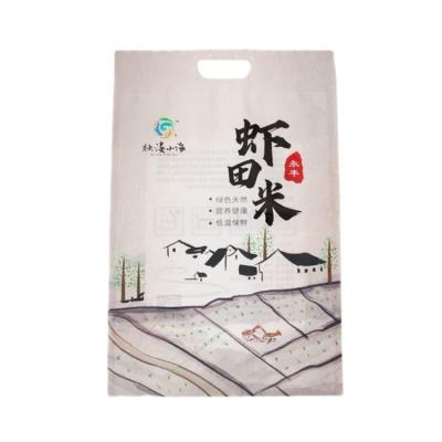 China Other Factory Hot Sale Custom Printed 50kg Bean Woven Bag Plastic Printing Rice Packaging Bag for sale