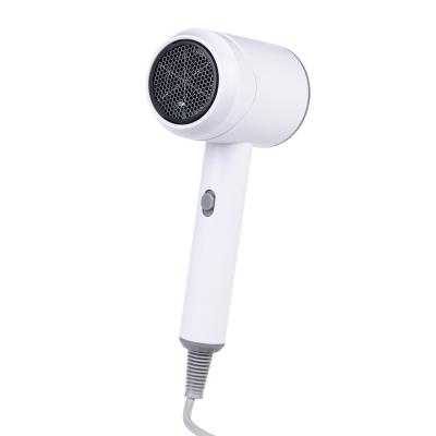 China Ionic Factory Direct Sale Strong Wind Blowing Blow Dryer Ion Electrical Portable Hair Dryer Professional for sale