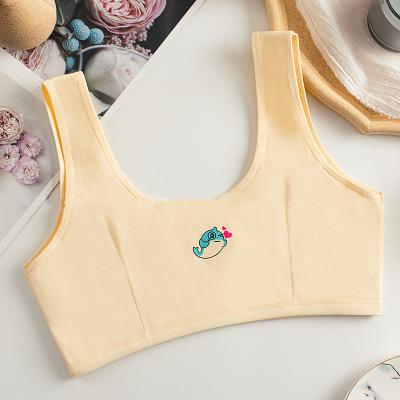 China 2021 new underwear 2021 soft wide shoulder teenage girl's comfortable vest bra antibacterial bra wholesale for sale