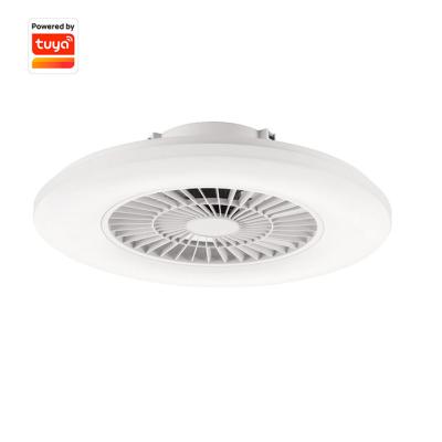 China Top Quality Opal White Cover Best Price Decorative Cheap Smart Luxury Ceiling Fan With Light Modern for sale