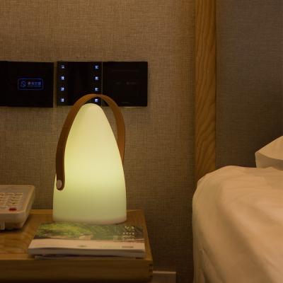 China PE Material Modern Bullet Shape Rechargeable Portable Bedside RGB Lantern Led Table Lamps For Kids for sale