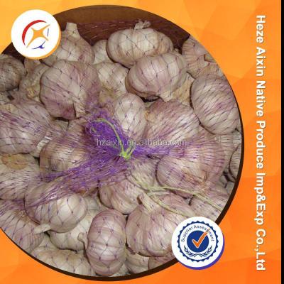 China fresh fresh garlic storage for sale