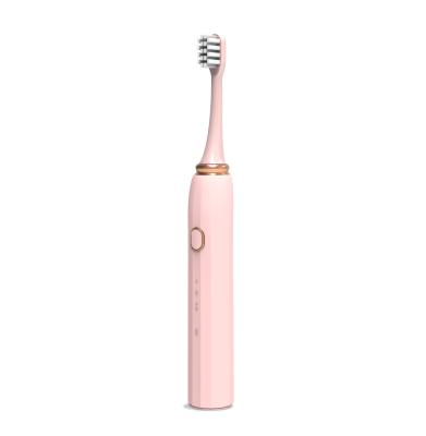 China Home Adult Soft Care Sonic Tartar Remover Oral Slim Sonic Electric Hair Toothbrush for sale