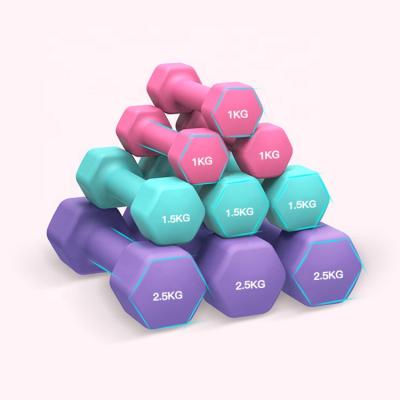 China Easy to take a variety of colors are available for housekeepers dumbbell hand leg benefits for sale