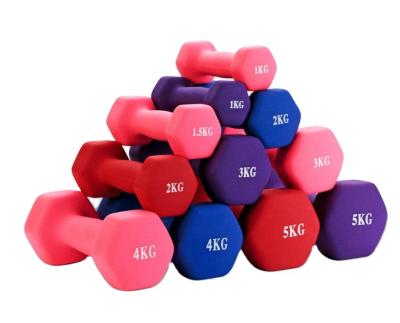 China Home Use Multi Color And Multi Specification Fitness Dumbbell For Both Men And Women for sale