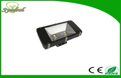 China 12V 6500K Cool White 120 W High Power Meanwell RA80 Led Flood Lights for sale