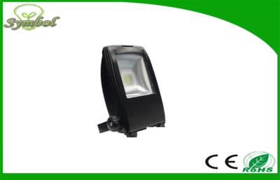 China Epistar LED Cool White 10000K Led Flood Lights Super Bright & CE RoHS for sale