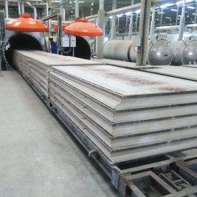 China High Quality Fiber Cement Board Processing Autoclave Builder Machinery for sale