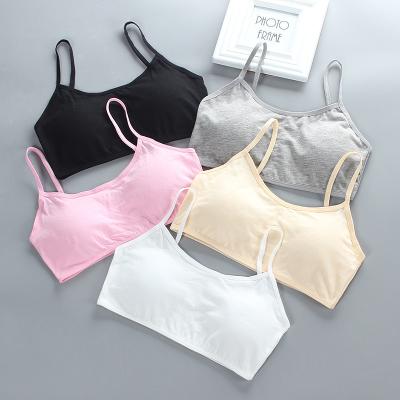 China Breathable Kids Girls Training Bra For Sponge Teen Lift Up Bra Vest Kids Teenage Cotton Blended Bra Underwear Underwear for sale