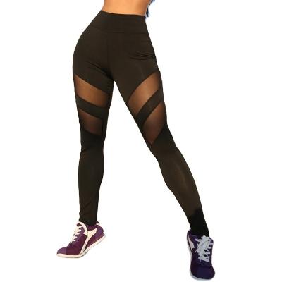 China Women Solid Mesh Patchwork Sport Leggings High Waist Breathable Tights Pants Women Sports Wear For Women Gym Lift Up Yoga Pants for sale