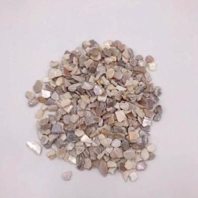 China Natural Shower Room MOP Aggregate Crushed River Shell Chip For Flooring Terrazzo for sale