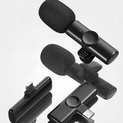 China Protable Microphone Professional Living Wireless Noise Reduction Mic for sale