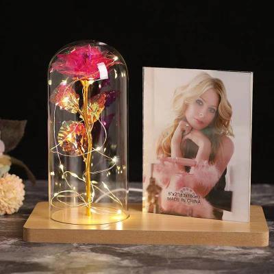 China Latest Design Luxury Photo Frame Photo Frame Plastic Fashionable Wooden Bubble Light for sale