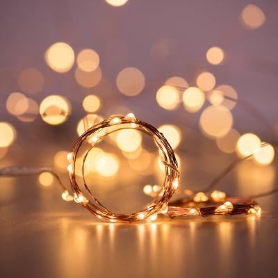 China Solar String Lights Garden Series LED Outdoor Christmas Light for Garden Party Decorations for sale