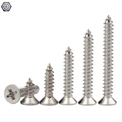 China 304 Stainless Steel Pan Head Tapping Screw Phillips Countersunk Head Screws Wood Flat Screws for sale