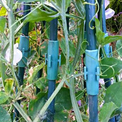 China Plastic Garden Plantstomato Wire Tomato Support Wire for sale