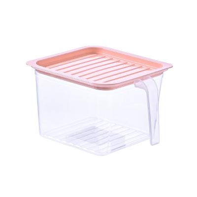 China Portable Freshness Preservation Food Containers Boxes New With Handle Refrigerator Storage Box for sale