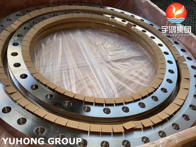 China ASTM A240 F904L / UNS N08904 AWWA C207 Ring Type Flange for Waterworks Service for sale