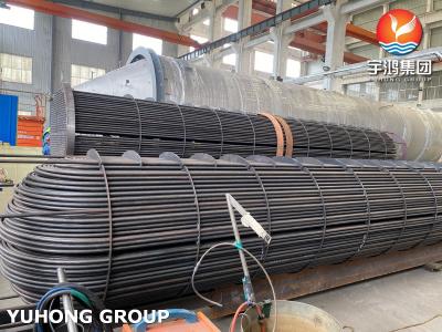 Chine Rassemblement de l'ensemble de tubes ASME U avec échangeur de chaleur sans soudure à vendre