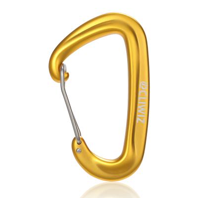 China JRSGS Light Factory Whosale Heavy Duty 12KN Snap Hook D Hook 7075 Aluminum Carabiner Camping Clip For Mounting S7801S for sale