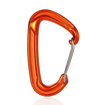 China JRSGS lightweight Carabiner fit for camping, hiking, outdoor and gym etc, small Carabiners for dog leash and harness 18KN S7102S for sale