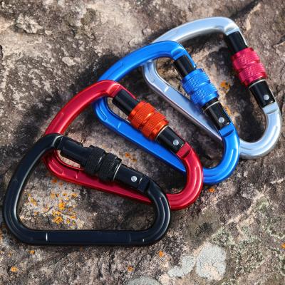 China JRSGS 25KN Carabiner 7075 Aluminum D-shaped Buckle Lock Climbing Clip Aviation Snap Hook S7107 for sale