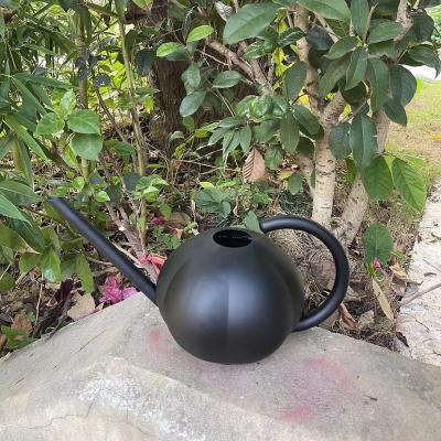 China Watering Cans Unique Factory New Design Metal Can Bottle Water Garden Stainless Steel Watering Can for sale