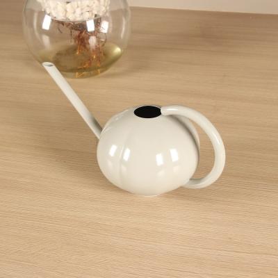 China Unique Design Watering Cans New Design PUMPKIN Shape Metal Stainless Steel Watering Can With Easy Long Pour Spout for sale