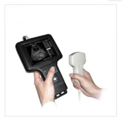 China Acrylic Palm Ultrasound Machine HV6 Veterinary Ultrasound For Animal Farm Vet Clinic Cow Pig for sale