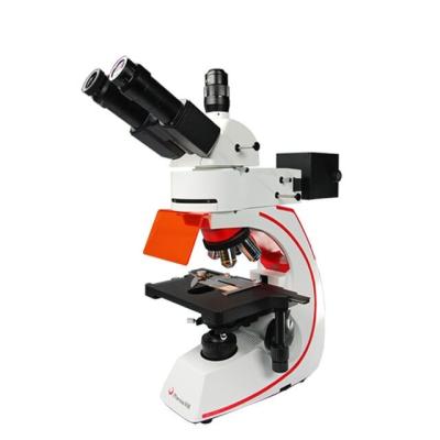 China four field professional fluorescence trinocular microscope with kohler illumination BMC503-FLED-UVBG for sale