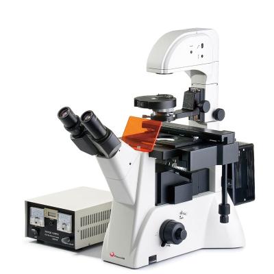 China Phoenix Inverted Phase Contrast Fluorescence Microscope for Hospital Laboratory Live Cell Dark Field Observation PH-YGD for sale