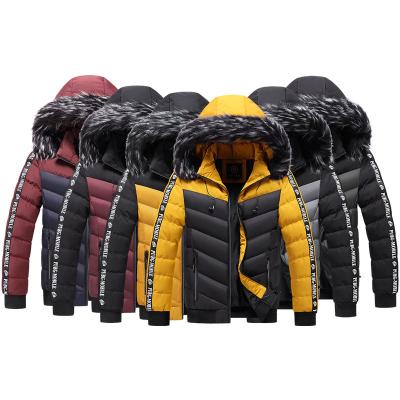 China Fashion Men's Fur Stripper Windproof Jacket Wholesale Hood Collar Windproof Polyester Detachable Cotton for sale