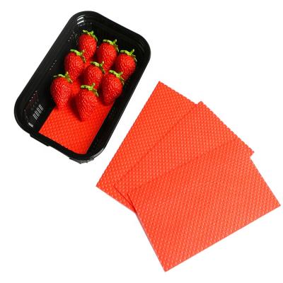 China Factory Wholesale High Quality Eco-friendly Disposable Keep Fresh Fruit Food Anti Moisture Absorber Pad for sale