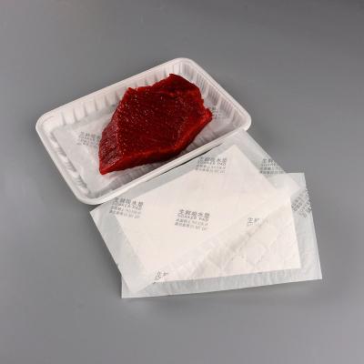 China Disposable Disposable Meat Soaker Absorbent Pad For Food Packaging for sale