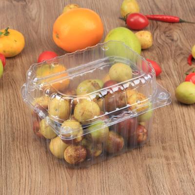 China 125G 250G 300G 500G 1000G RPET Recyclable Plastic PET Blister Fruit Cake Clamshell Box Packaging Container for sale