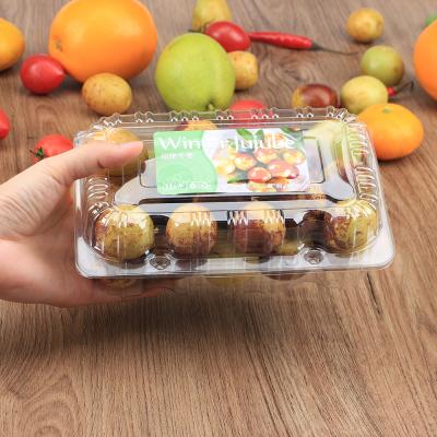 China Rectangular Clear Plastic Transparent PET Box Packaging Box Fruit Clamshell Custom Container for sale