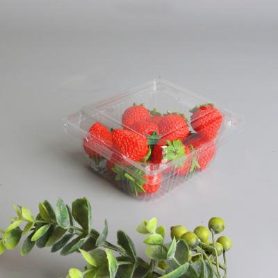 China Clear 500G Disposable Fresh Fruit Strawberry Packaging Lid Plastic Container Recyclable for sale