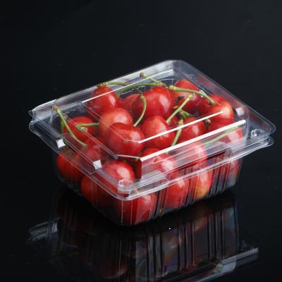 China Recyclable Wholesale Clear Plastic Fruit Clamshell Box Packaging Container for sale