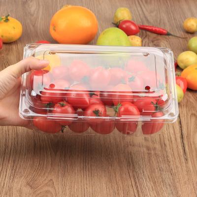 China Recyclable Take Away Compostable Clear Plastic Food Container Vegetable/Fruit/Salad Clamshell Packaging Box for sale